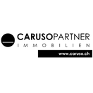CarusoPartner Immobilien GmbH, Tel. 044 860 36 36