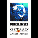 Forellensee Gstaad-Zweisimmen - «En harmonie  avec les éléments»