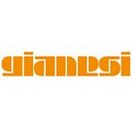 Gianesi AG