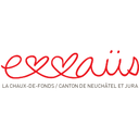 Communauté Emmaüs, Association de solidarité