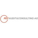 FEY Audit & Consulting AG