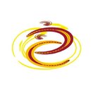 Fisioterapia Leone