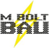 M. Bolt Bau