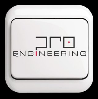 pro engineering ag