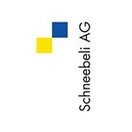 Schneebeli AG Felsberg - 081 257 07 70