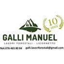 Galli Manuel