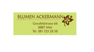 Ackermann Urs