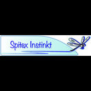 Spitex Instinkt GmbH, Horw, Tel.041 340 36 15