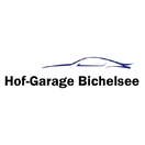 Hof-Garage Bichelsee AG, 071 971 13 53