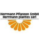 Hermann Pflanzen GmbH Ihr Spezialist für Pflanzenhandel und Wiederverkäufer