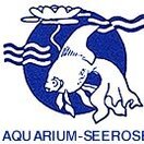 Aquarium Seerose