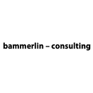 bammerlin - consulting