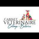Cabinet Vétérinaire de Collonge-Bellerive