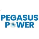 Pegasus Power (Ryser Consulting & Mental Health GmbH)