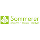Sommerer & Co. mit über 60 Jahren Erfahrung Tel. 061 701 19 10