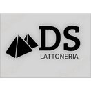 DS. Lattoneria