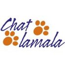 Chat Lamala Peinture Sàrl, tél. 079 287 07 13