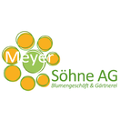 Meyer Sohne AG 061 601 01 89